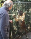 NUR Lucca 1